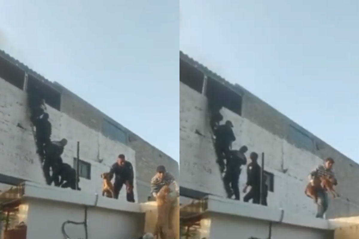 Foto:Captura de pantalla|¡Héroes! Policías hacen cadena humana para salvar a 10 perritos durante incendio