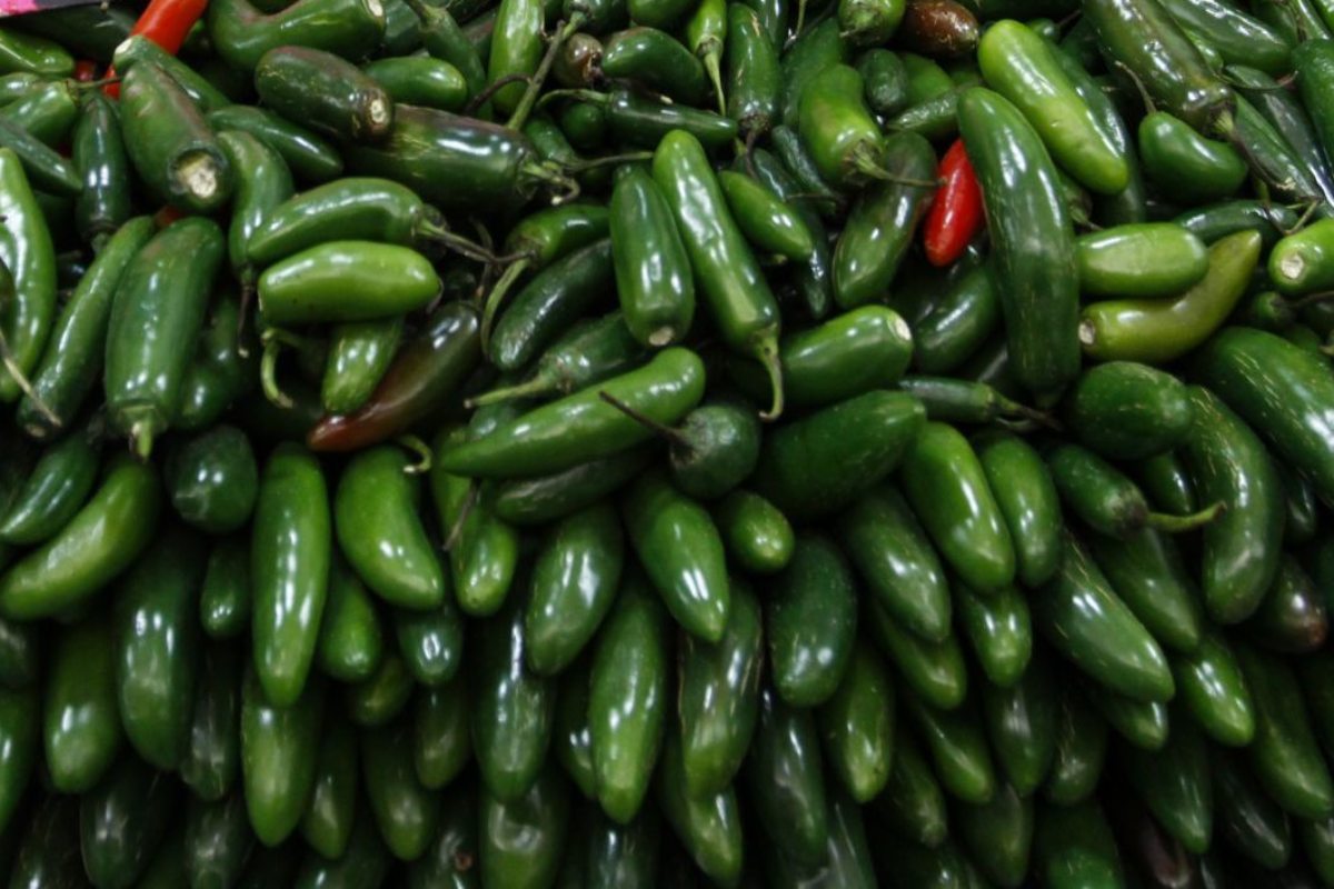 chile serrano