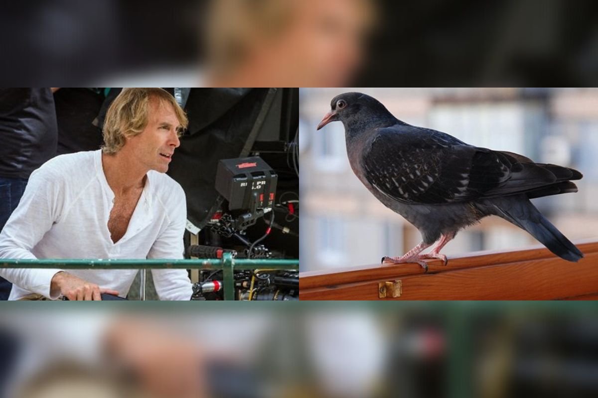 Michael Bay