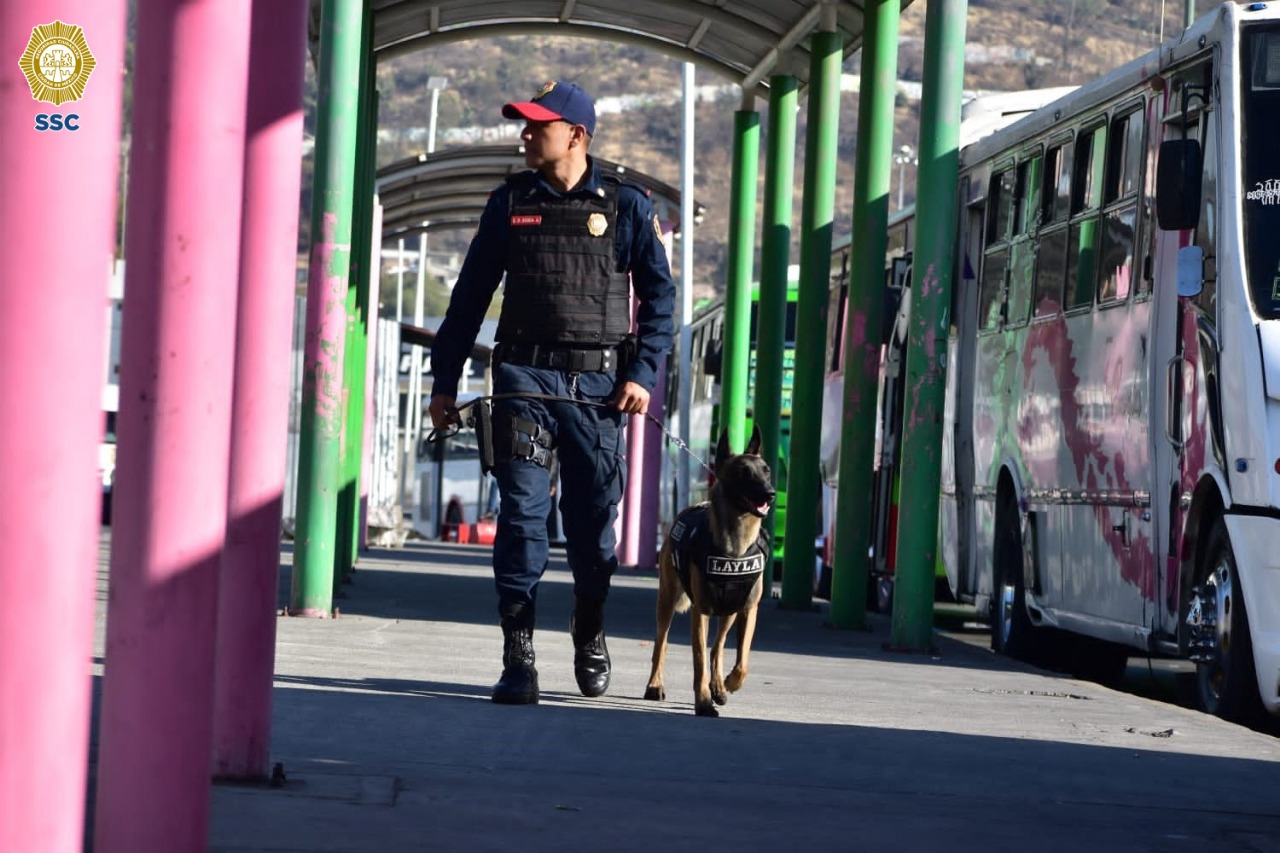 Foto: SSC | Indios Verdes Los uniformados pretenden inhibir actos delictivos, estas acciones las llevan a cabo de binomios caninos.