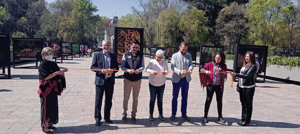 Foto: Ángel Ortiz | Jaguar La galería se mantendrá expuesta en la Calzada Juventud Heroica, en la Primera Sección del Bosque de Chapultepec, hasta el 26 de marzo.