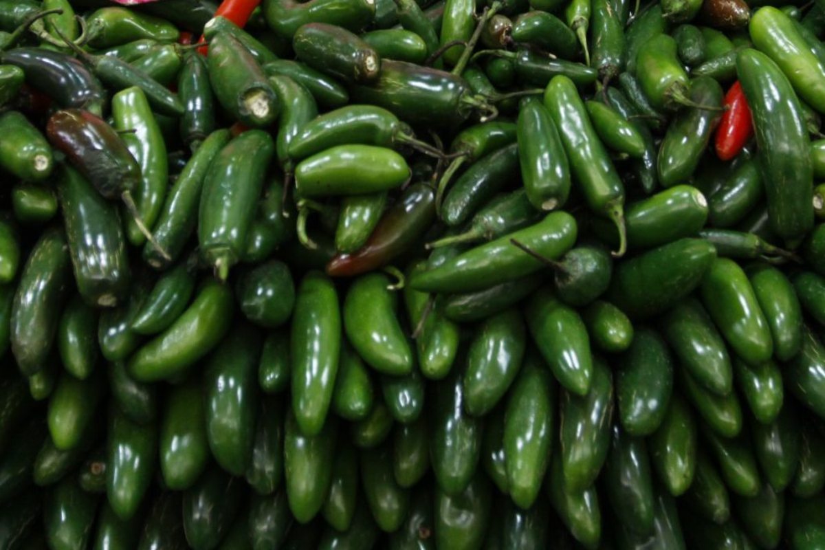 chile serrano