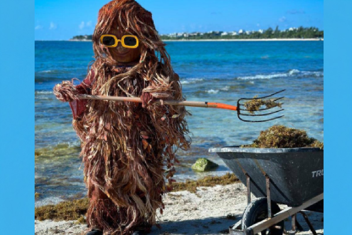 Él es "Sargazin", la nueva mascota de Playa del Carmen, que ayuda a combatir el sargazo