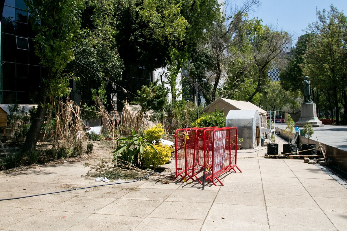 El Senado solicitará al Gobierno capitalino retirar el plantón cannabico del parque Luis Pasteur.