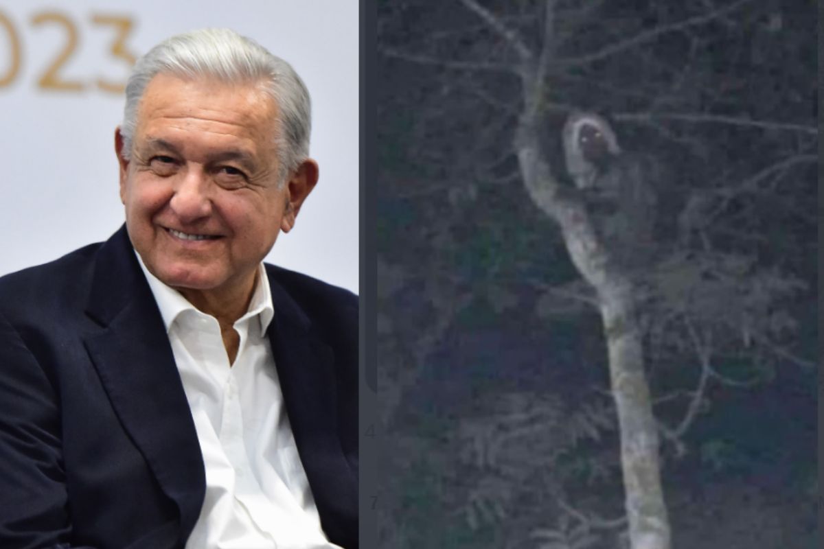 AMLO ha sido objeto de burlas tras la foto que público en redes de un supuesto aluxe