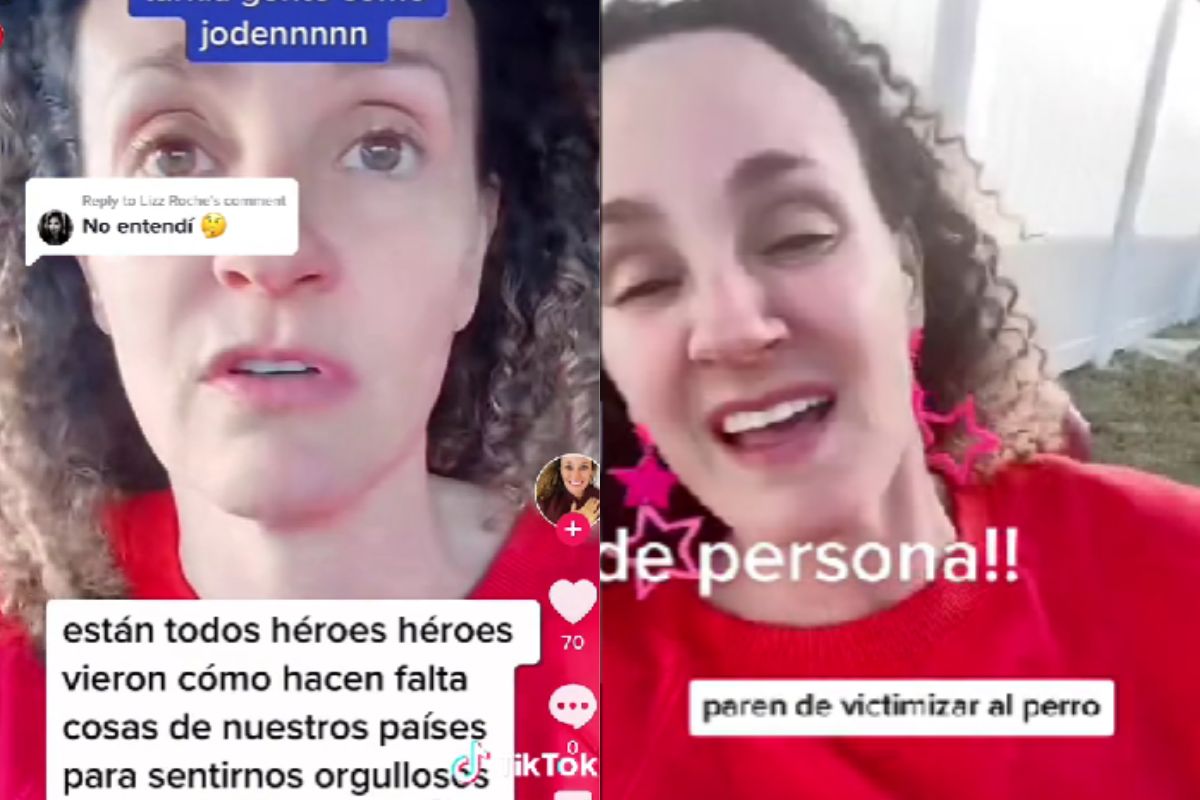 perritos rescatistas