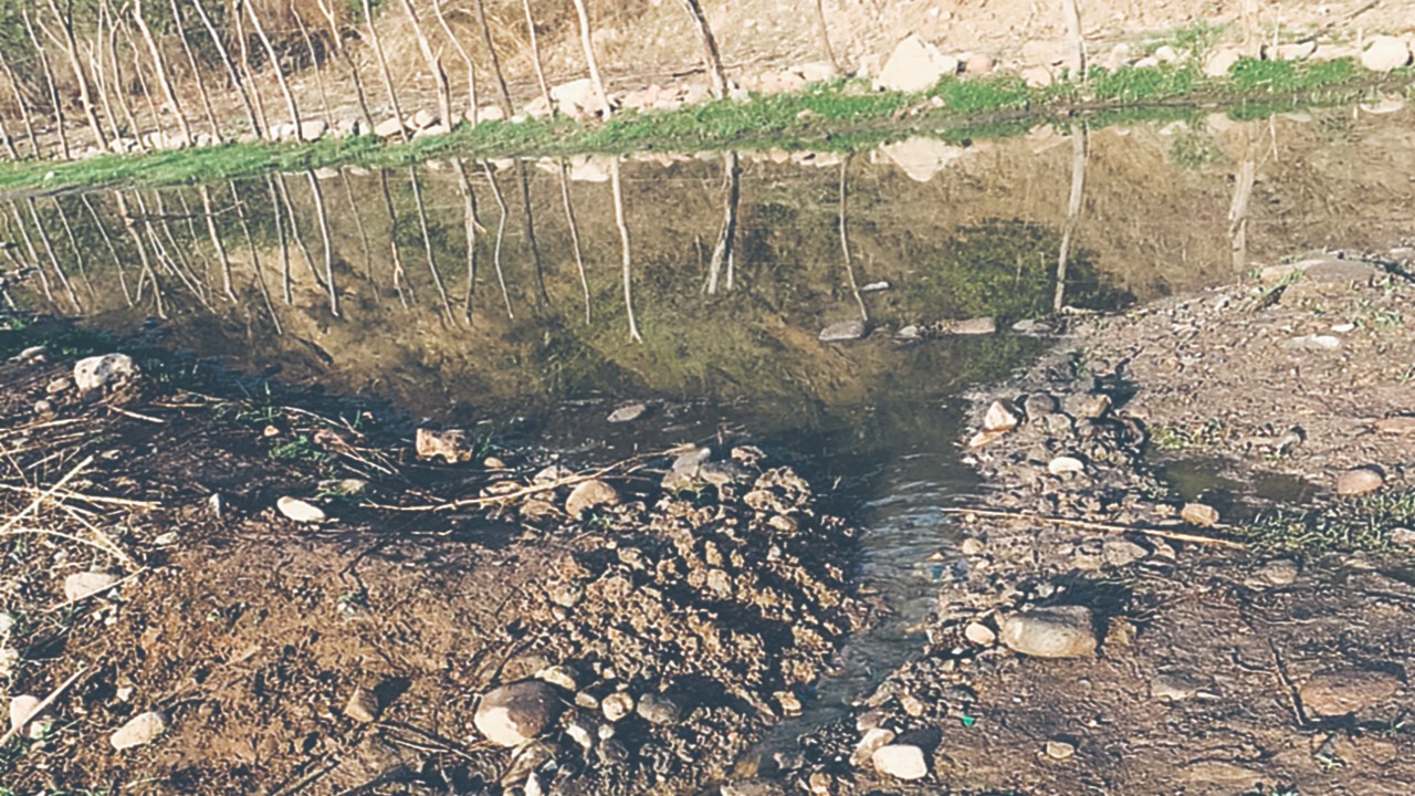 AGUA contaminada