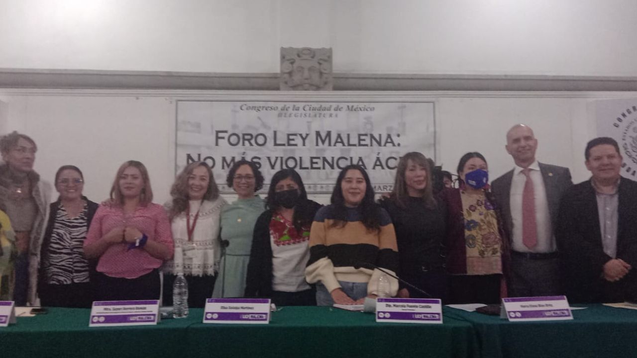 Médicos, autoridades y víctimas de violencia ácida participaron en la segunda y última jornada del Foro Ley Malena