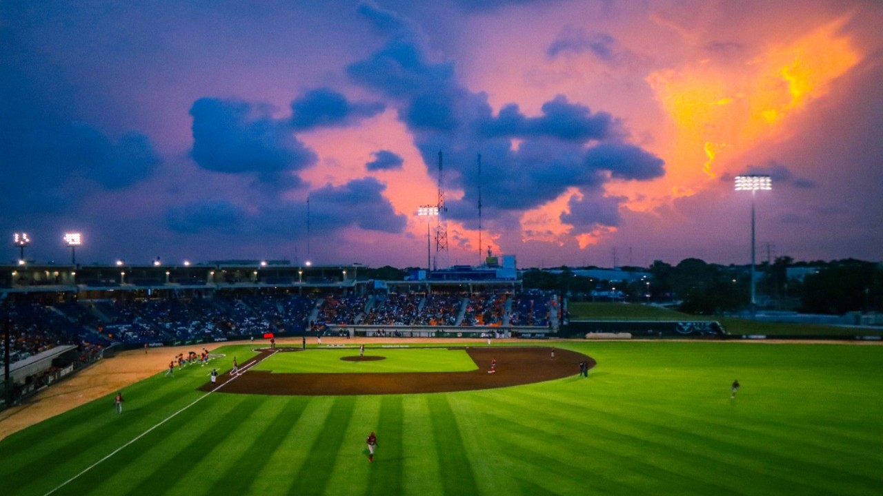 beisbol liga