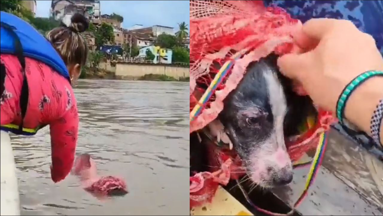 Rescatan a perrito arrojado a río en un costal.