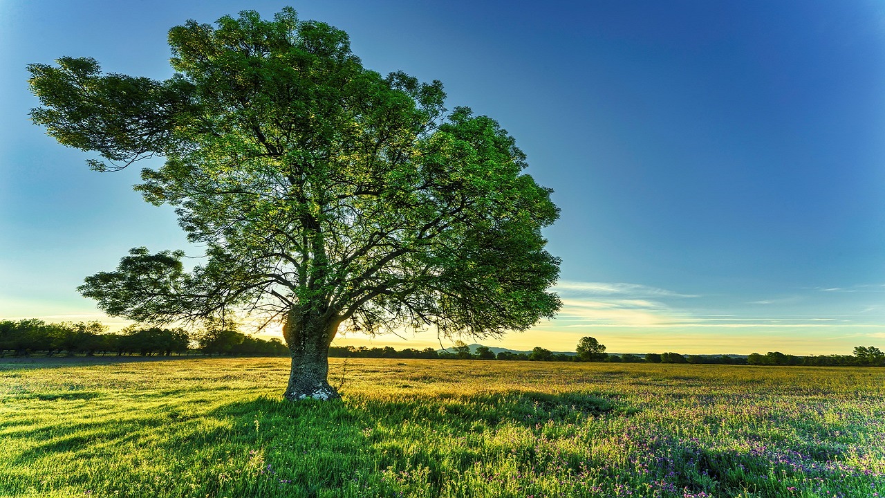 equinoccio de primavera