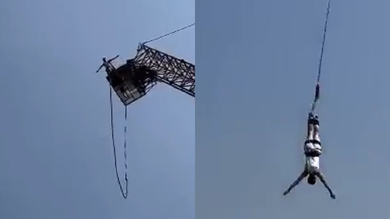 bungee