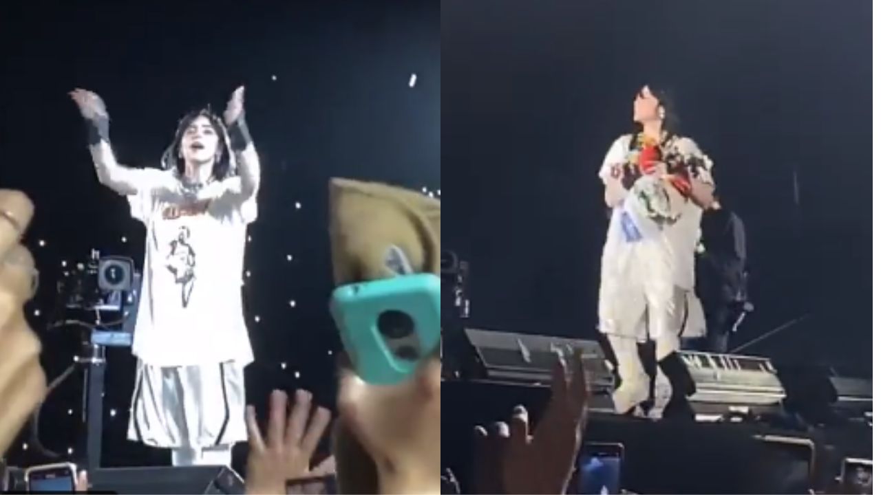 Foto: Captura de pantalla|¿Nuevo récord? Billie Eilish se llena de peluches del Dr. Simi en su show de CDMX