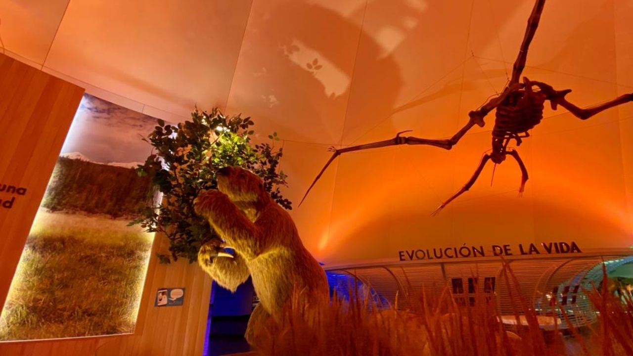 Museo de Historia Natural