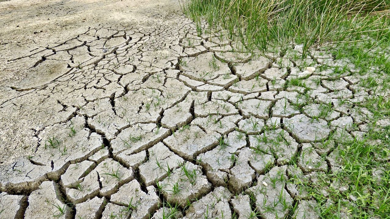 Avaló la eliminación del Fondo para el Cambio Climático, decretada por el Gobierno federal