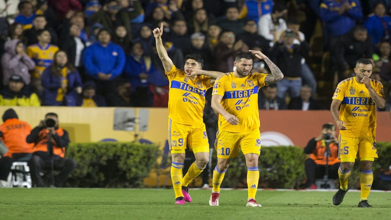 Tigres