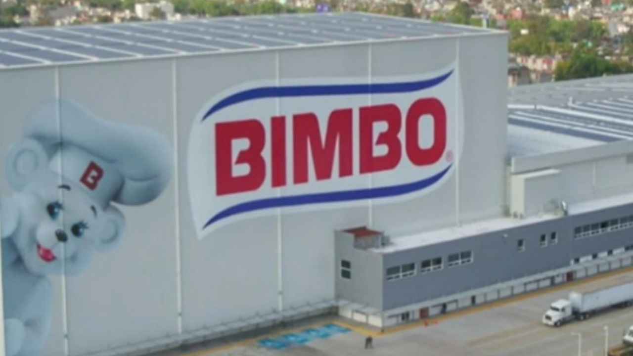 bimbo