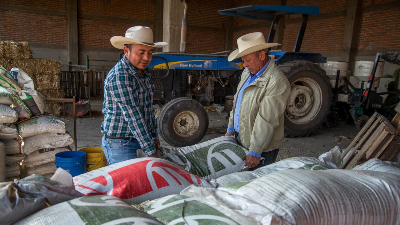 AGRICULTURA