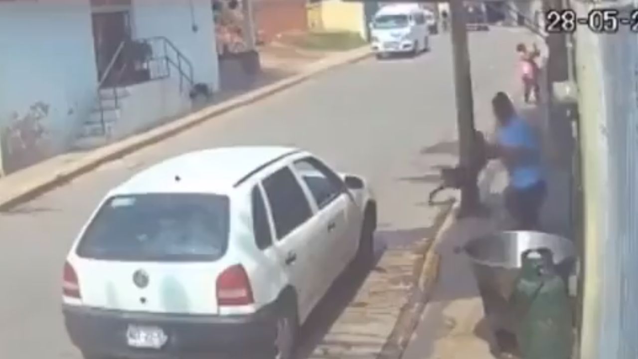 Perro asesinado en Tecámac no era callejero; se llamaba Scooby.