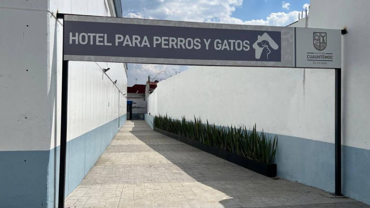 En la demarcación se construyó el Primer Hotel para Perros y Gatos Abandonados