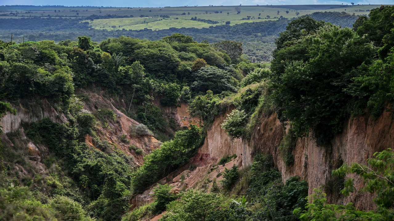 DEFORESTACIÓN