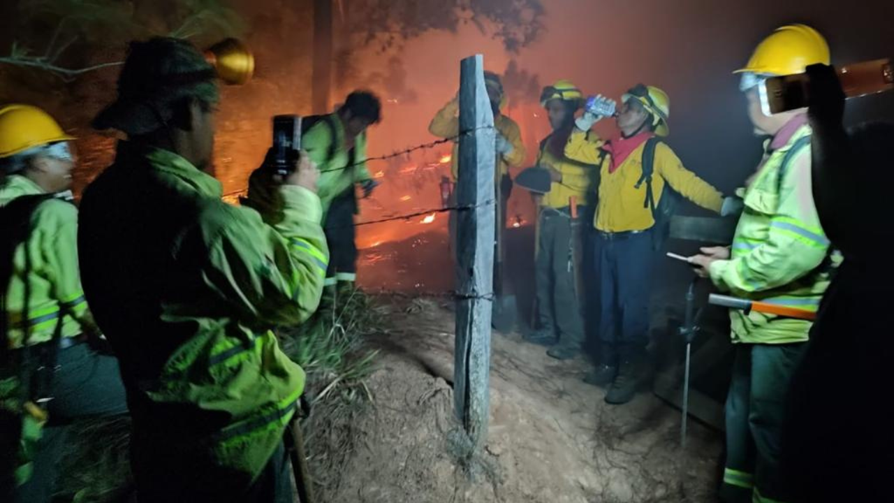 Foto: Protección Civil de Veracruz | De acuerdo con las autoridades de Veracruz, al menos 8 incendios permanecen activos.