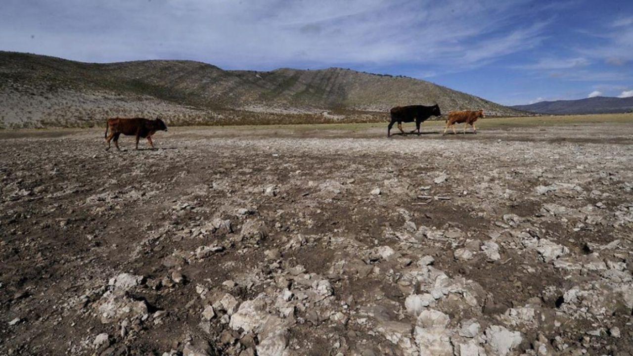 De las seis presas que se localizan en la entidad, una está seca y dos están por debajo de 6%