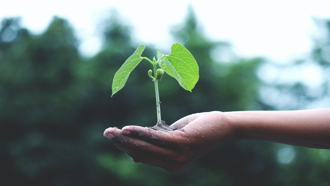 Este 5 de junio de 2023 se conmemoran 50 años del Día Mundial del Medio Ambiente