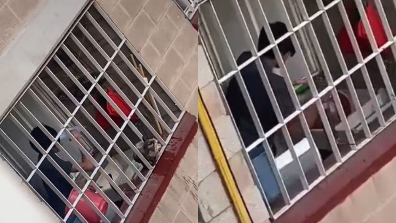 Captan a joven golpeando a un gato en la alcaldía Benito Juárez.