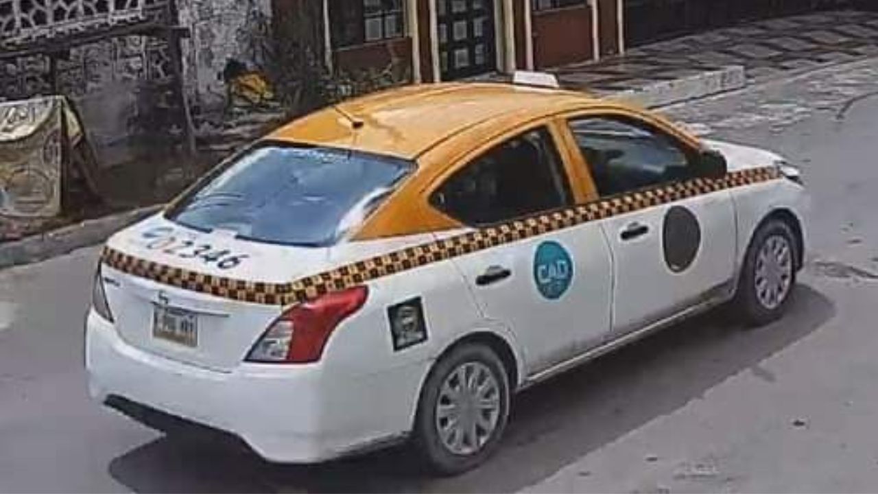 Taxista atropella y mata a perrito callejero en Cadereyta.