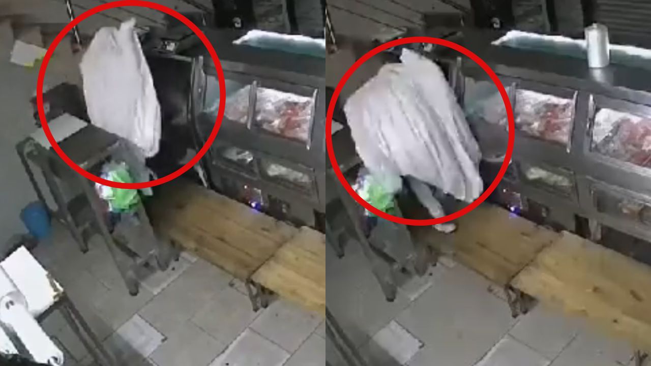 Fantasma carnicería