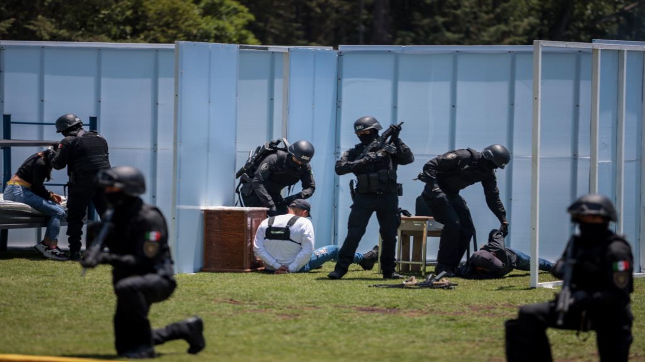 POLICIAS_GOBIERNO