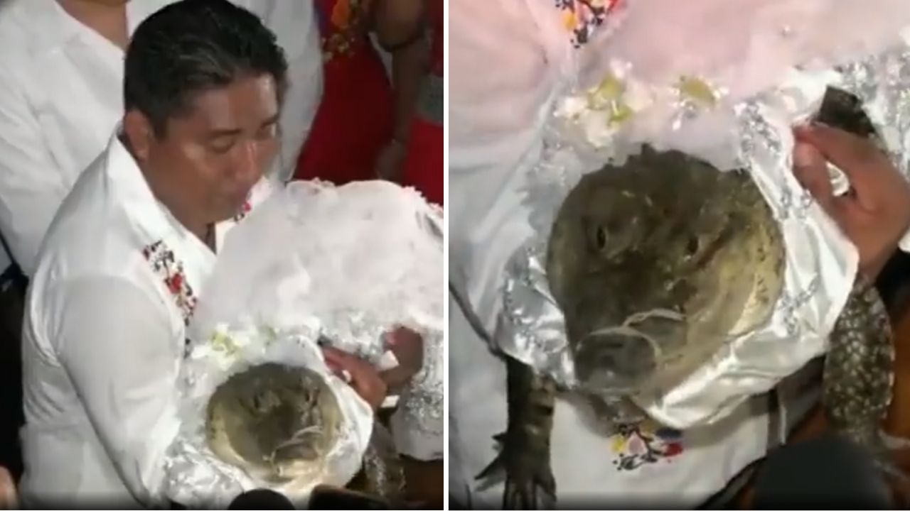 Alcalde en Oaxaca celebra boda con caimán.