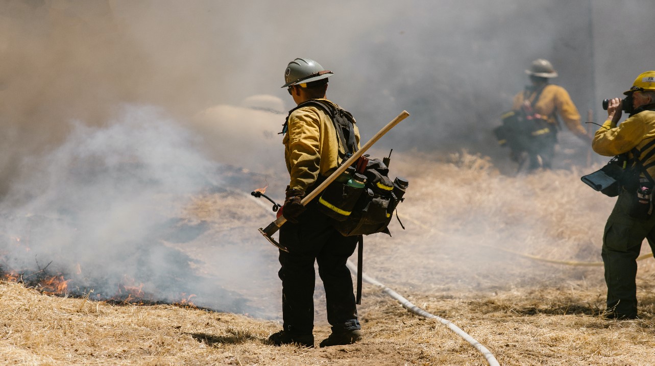 Bombero forestal combatiendo el fuego