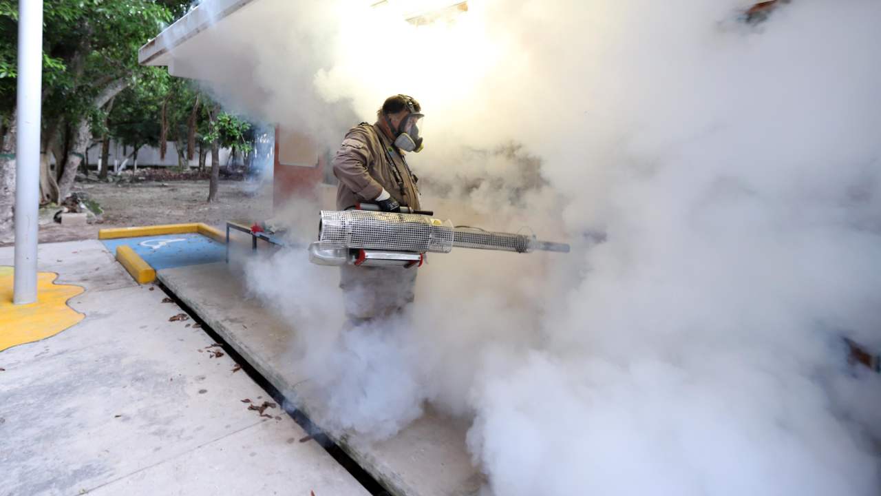 Un aumento por el 41.51 por ciento registra, al corte de la semana epidemiológica 28, del 10 al 16 de julio, presentó Michoacán en la incidencia de dengue