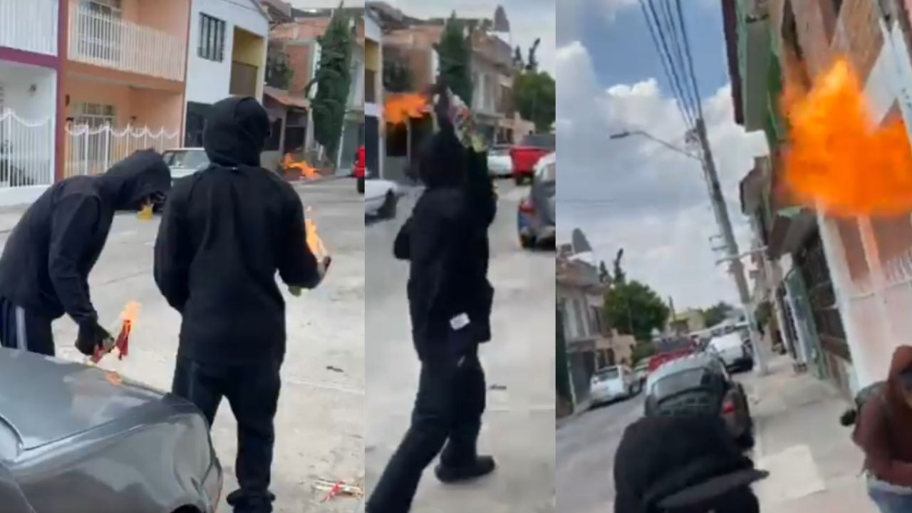 Lanzan bombas molotov a la casa una joven que torturó y mató a un gatito para "presumirlo" en redes.