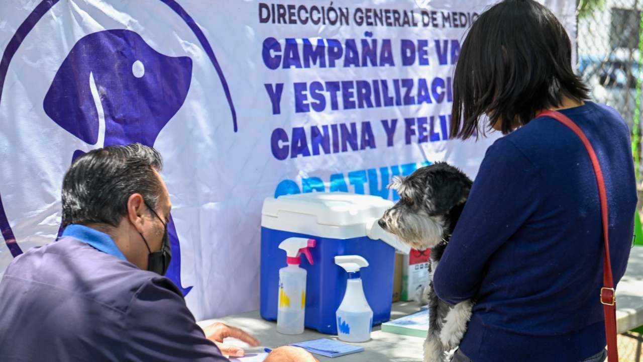 mascotas-vacunadas-Naucalpan