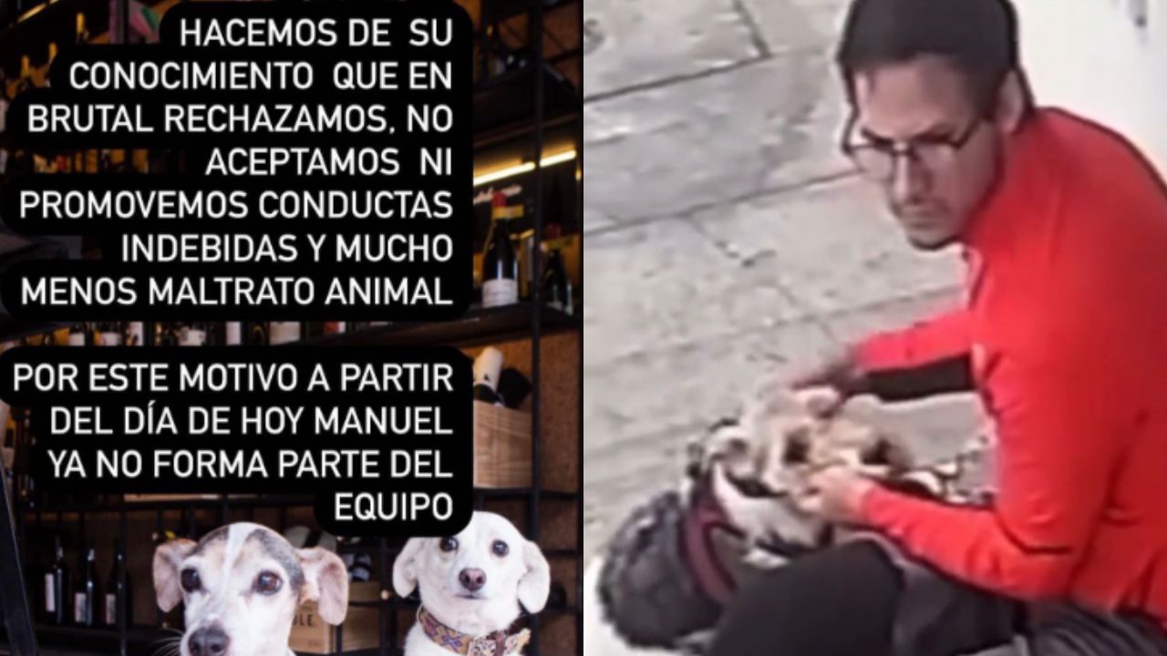 Foto:Captura de pantalla|Despiden al agresor exhibido por golpear con su puño a un perrito