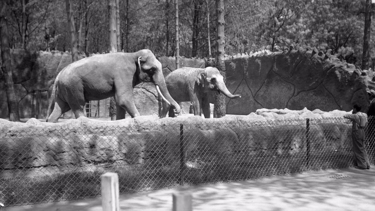 El Zoológico de Chapultepec se comenzó a construir el 6 de julio de 1923