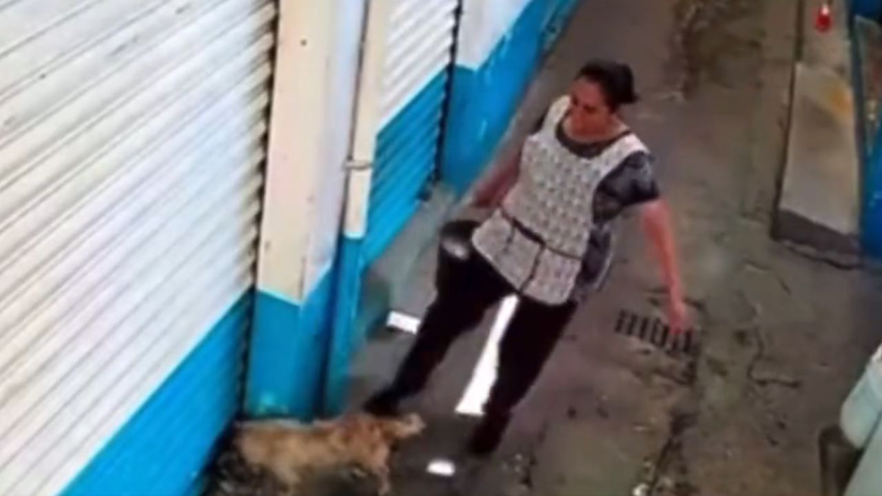 Exhiben en video a mujer por maltratar a un animal en un mercado en Ciudad Cuauhtémoc.