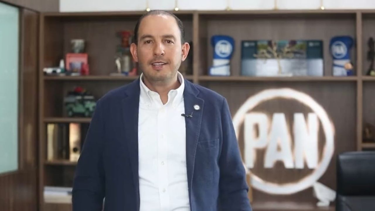 PAN - puestos legislativos