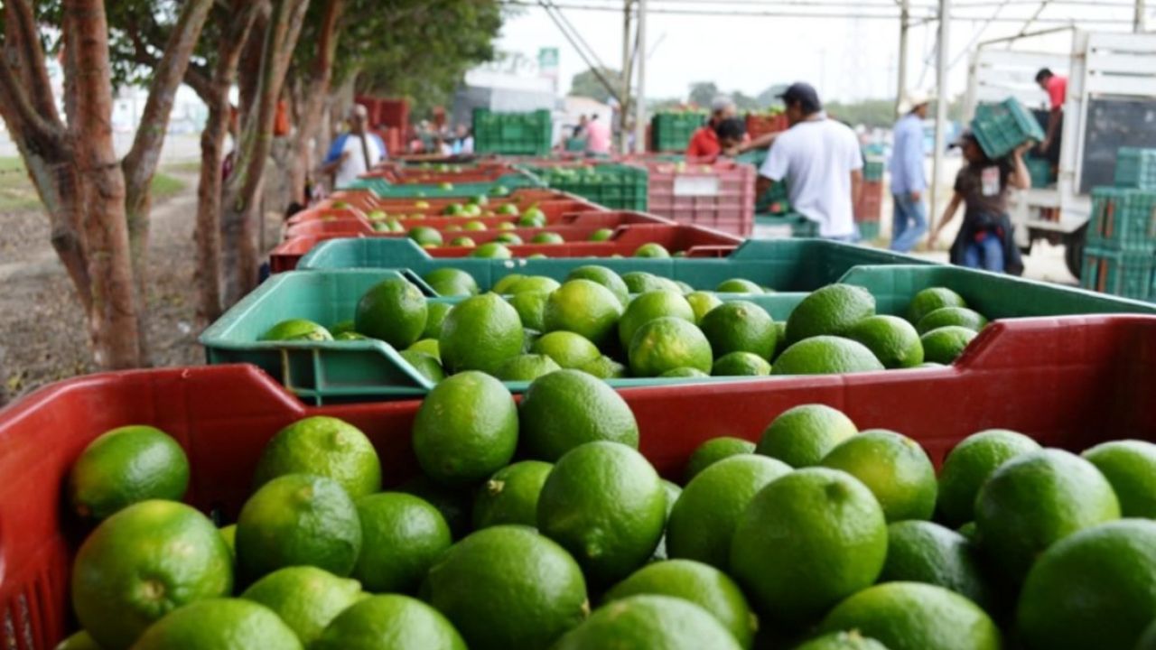 Luego de 10 días de la denuncia de los productores, Apatzingán sigue en paro ante las amenazas del crimen organizado