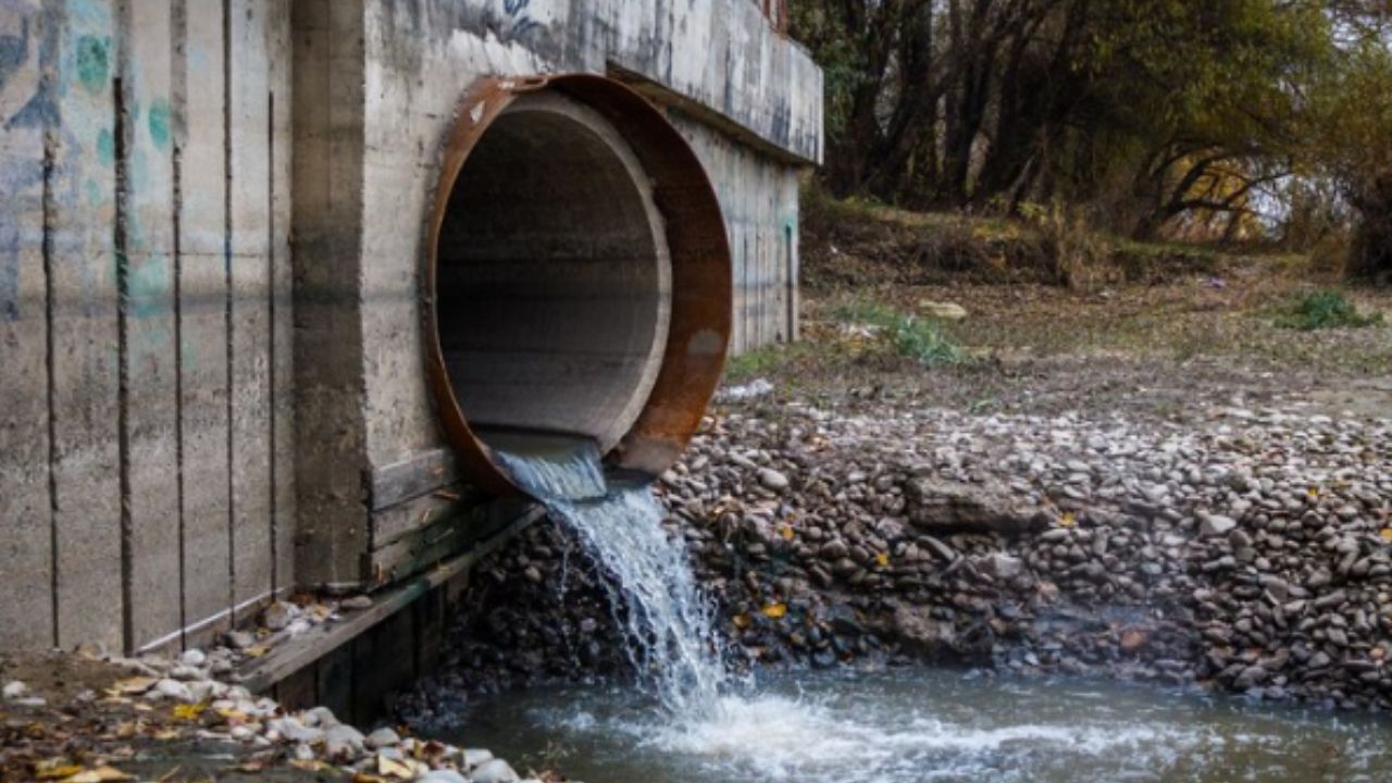 Foto:Free pik|Mujer lanza a su pareja con discapacidad a un canal de aguas negras