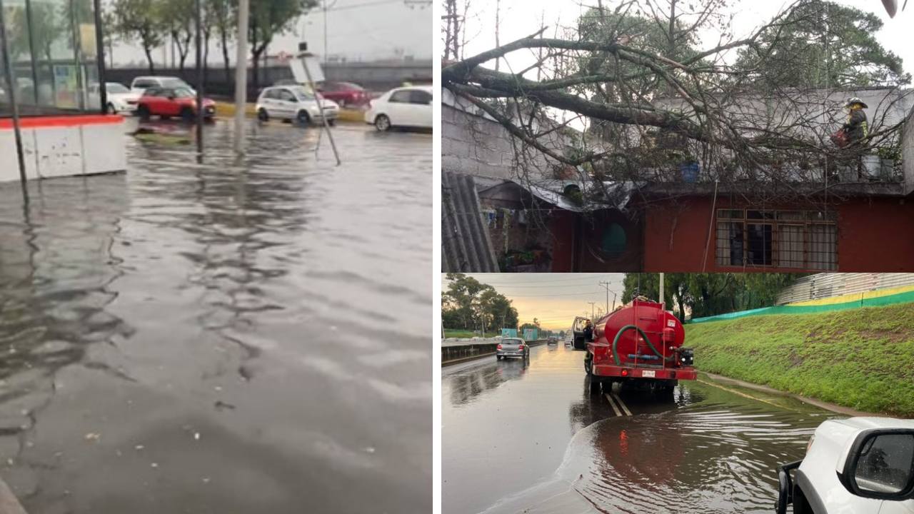 Durante la tarde de este viernes 18 de agosto, se registró una fuerte lluvia en la Ciudad de México, lo que dejó encharcamientos y caída de árboles en algunas alcaldías.