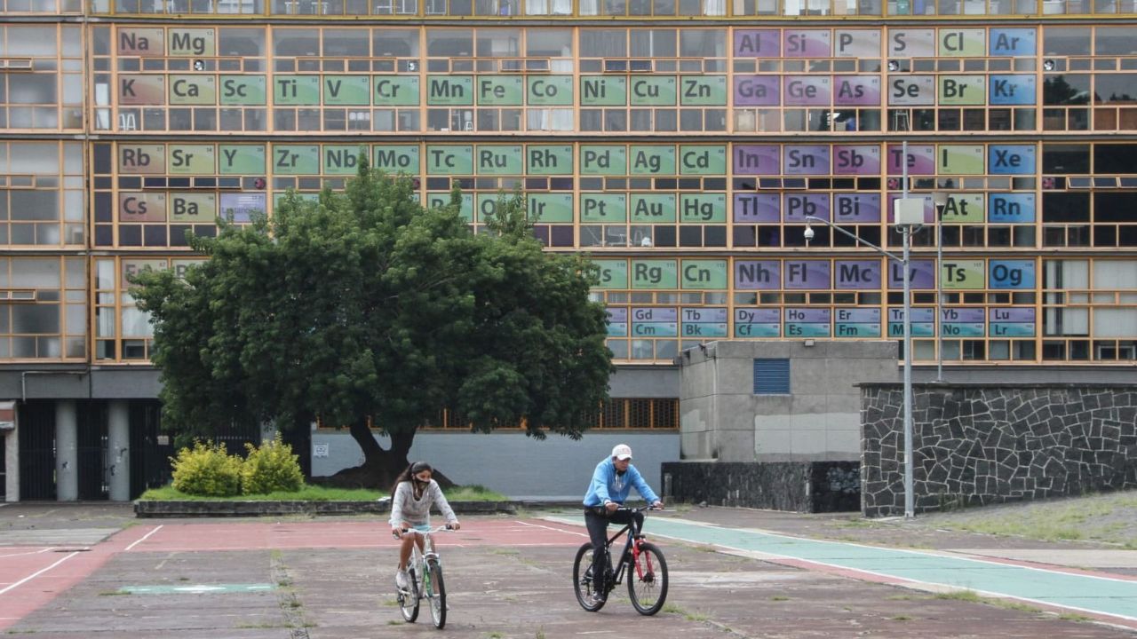 No hay plaga de chinches en Facultad de Química, señalan