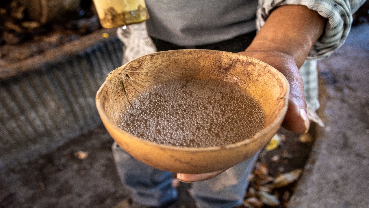 mezcal, sugerencia para quienes no les gusta el tequila