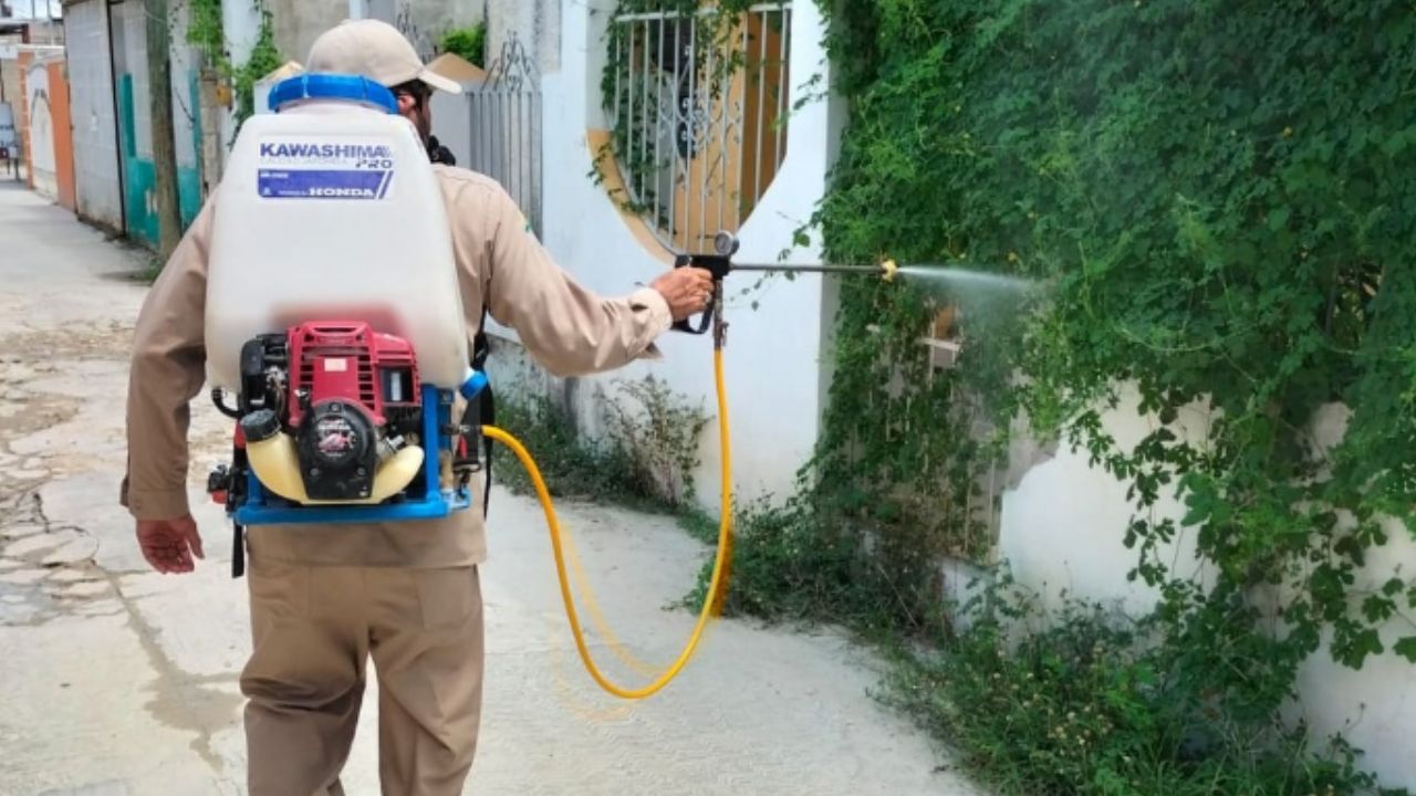 Foto:Especial|Continúan acciones de combate al dengue y vacunación antirrábica en el marco de la primera Jornada Nacional de Salud Pública