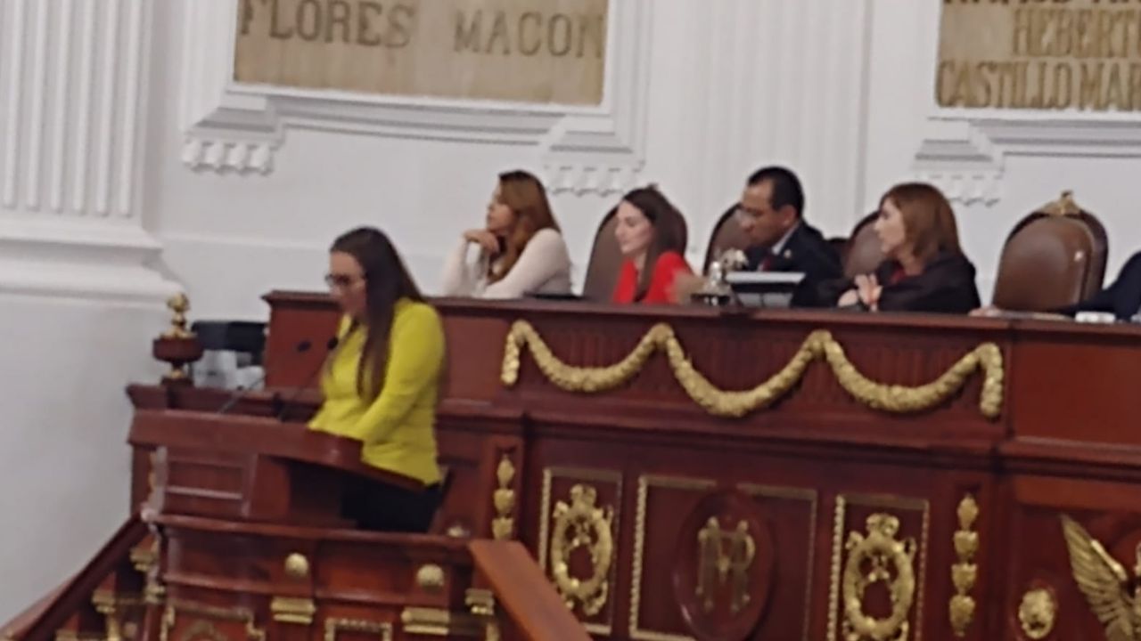 La diputada por el PRD, Polimnia Sierra hizo un llamado al Gobierno capitalino a dar mayor relevancia a los temas relacionados con las y los niños de la CDMX