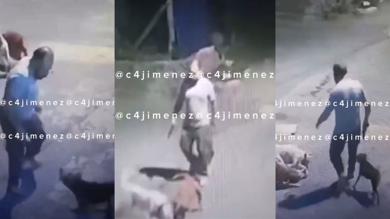 Sujeto patea a perritos callejeros en calles de Xochimilco