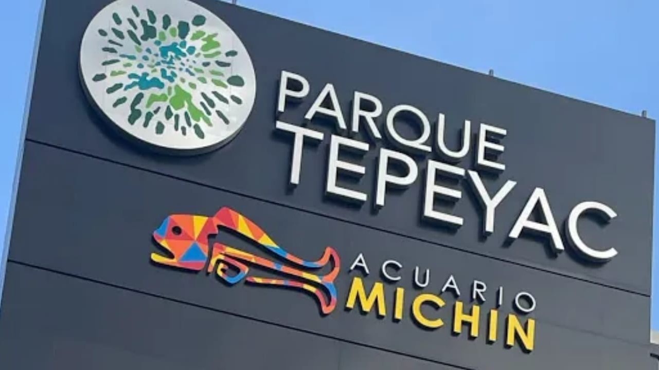 cartel anunciando el Acuario Michin